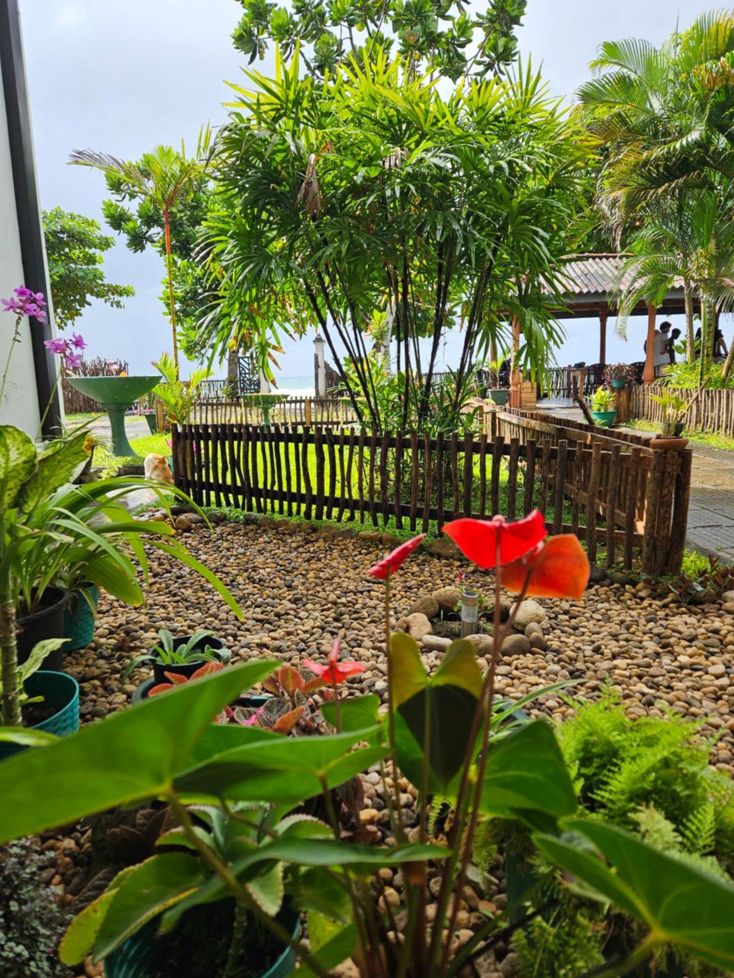 Balance Beach Resort Dikwella Bagian luar foto