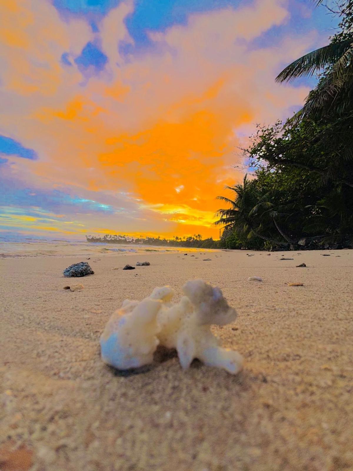 Balance Beach Resort Dikwella Bagian luar foto
