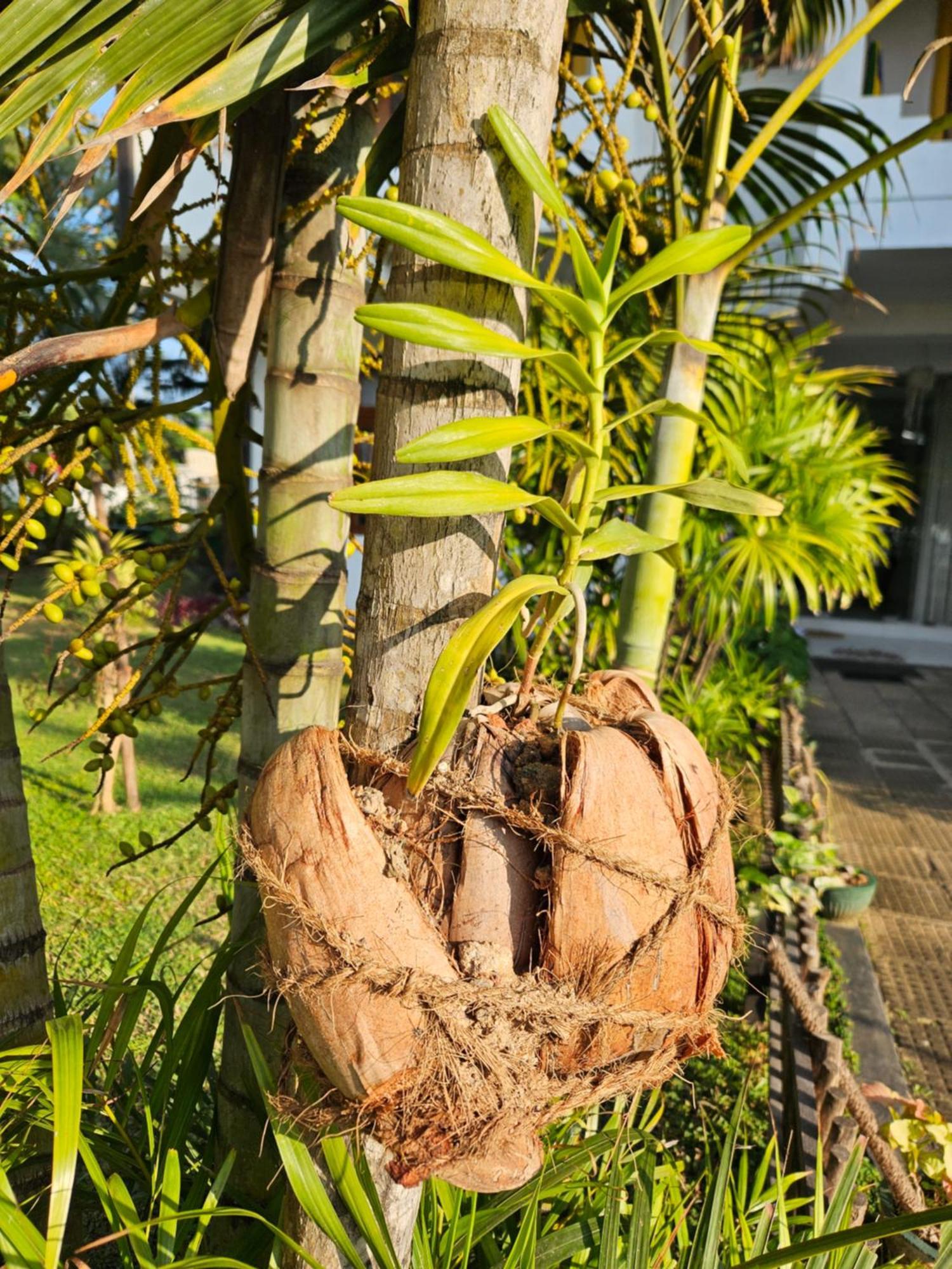 Balance Beach Resort Dikwella Bagian luar foto