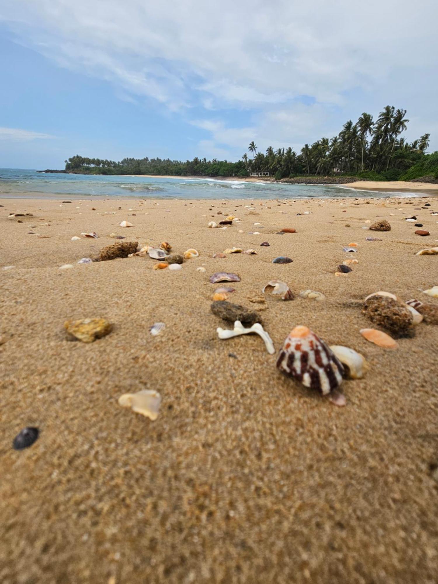 Balance Beach Resort Dikwella Bagian luar foto