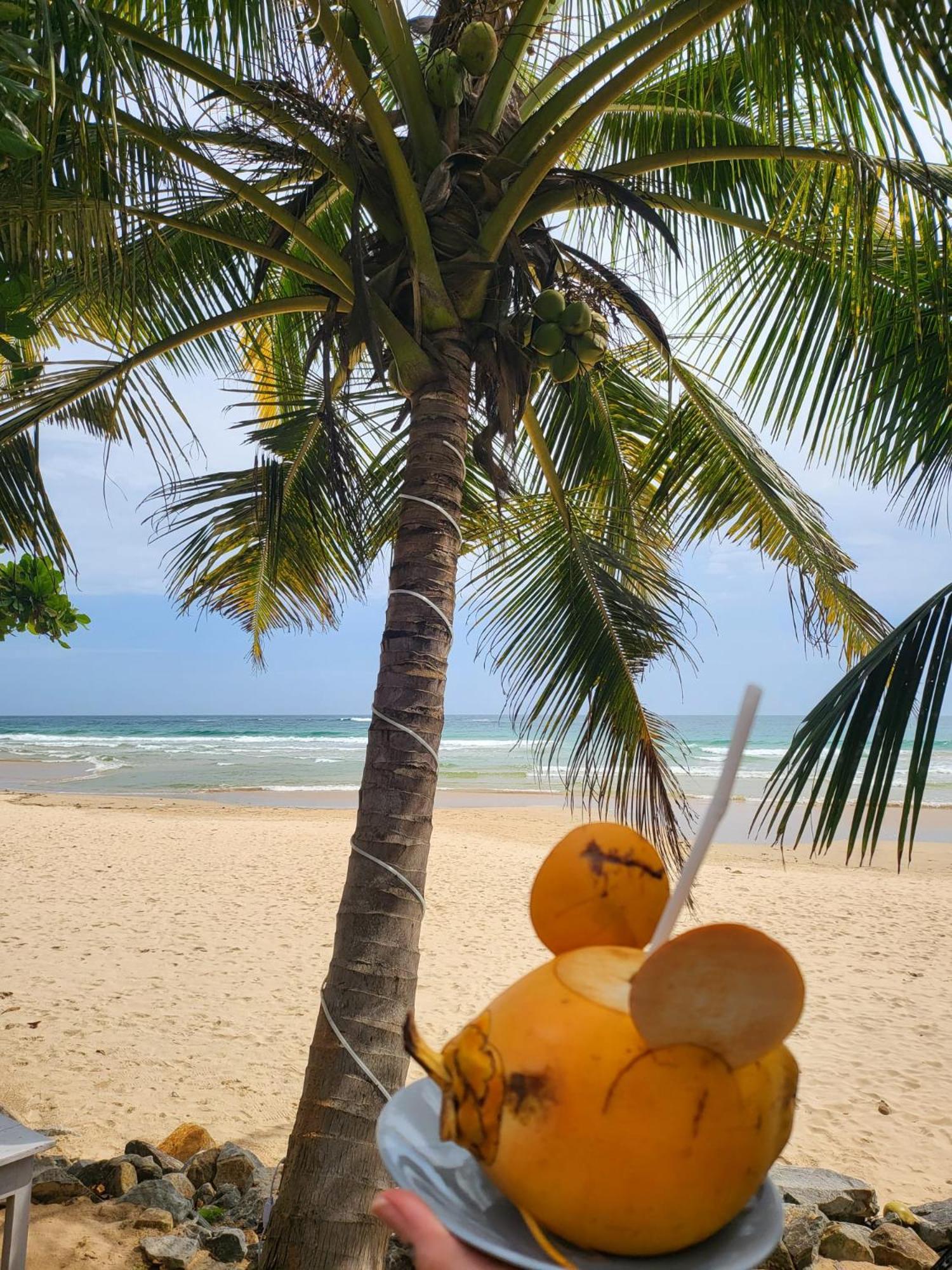 Balance Beach Resort Dikwella Bagian luar foto
