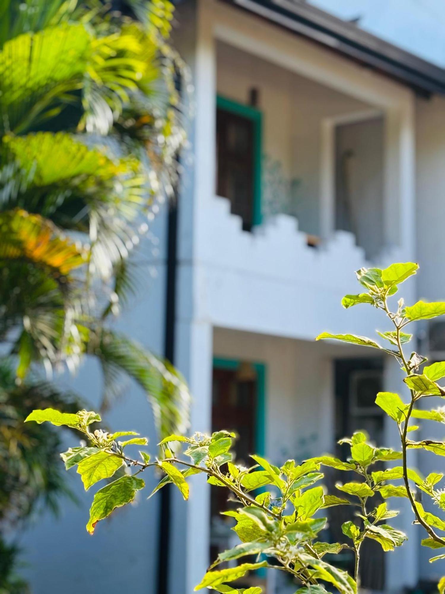 Balance Beach Resort Dikwella Bagian luar foto