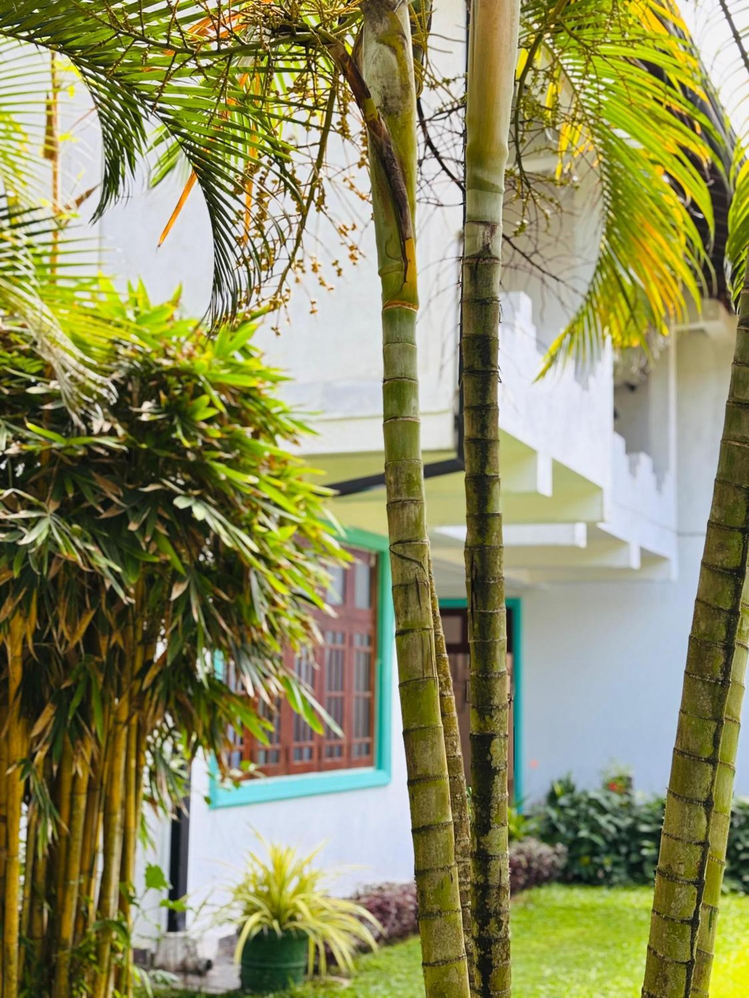 Balance Beach Resort Dikwella Bagian luar foto